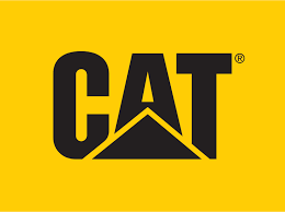 CAT FOOTWEAR