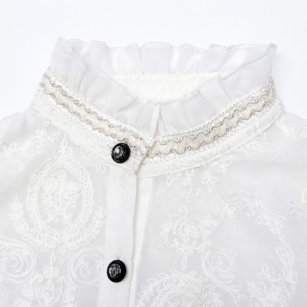 Chiffon Embroidered Perspective Blouse - Image 5